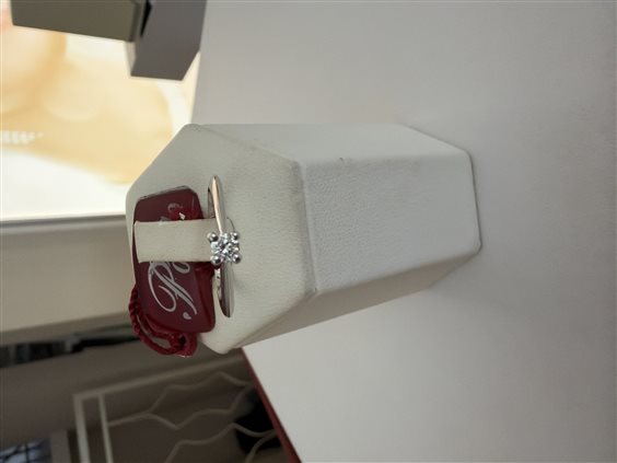 Anello Polello Donna in Oro bianco Diamante 0.10 Ct E2871B - E2871B